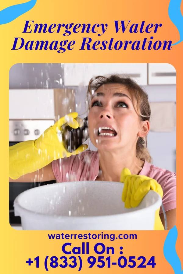 Emergency Water Damage Restoration in Middleborough Center, MA
