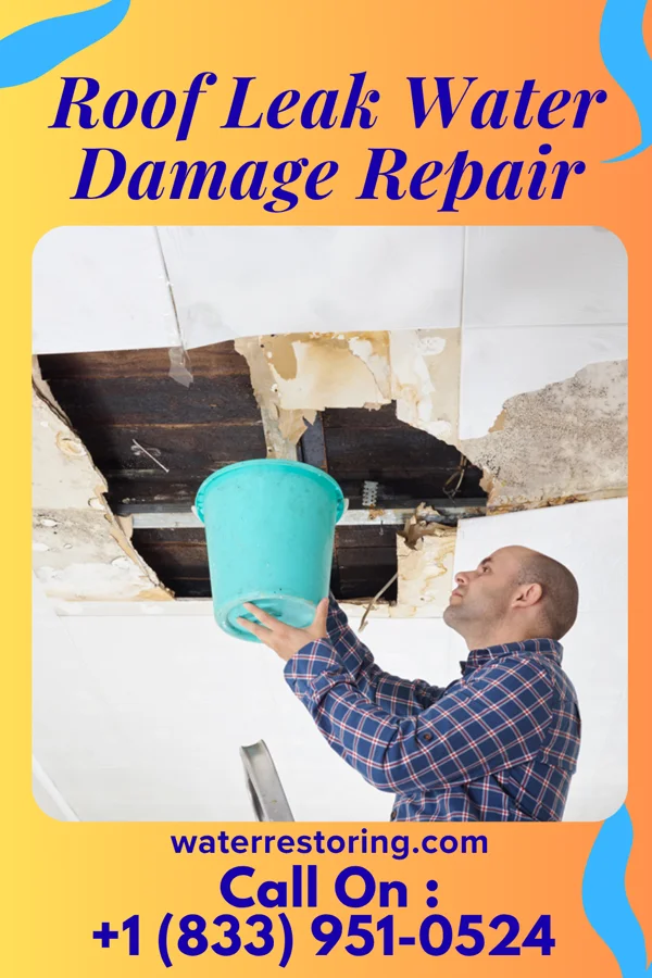 Roof Leak Water Damage Repair in Middleborough Center, MA
